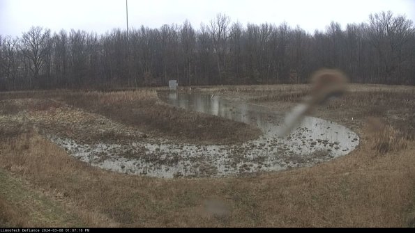 Cell 4_24-03-08_13-07-17-14