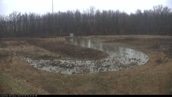 Cell 4_24-03-08_14-47-44-12