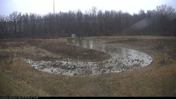 Cell 4_24-03-08_17-35-11-14