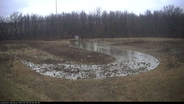 Cell 4_24-03-08_18-08-41-16