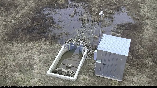 Flume_24-03-08_08-04-15-13