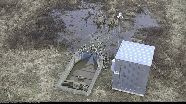 Flume_24-03-08_09-44-43-15