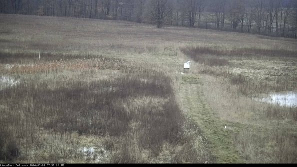 Cell 1 to 2_24-03-09_07-31-27-16