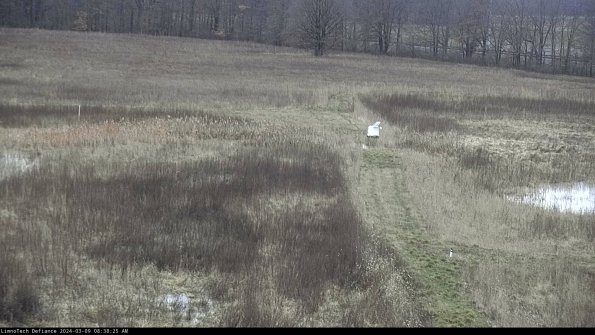 Cell 1 to 2_24-03-09_08-38-26-12