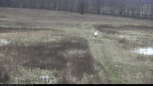 Cell 1 to 2_24-03-09_09-11-56-14