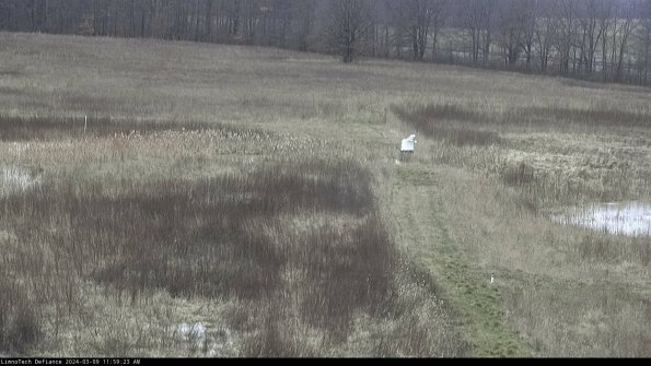 Cell 1 to 2_24-03-09_11-59-24-15