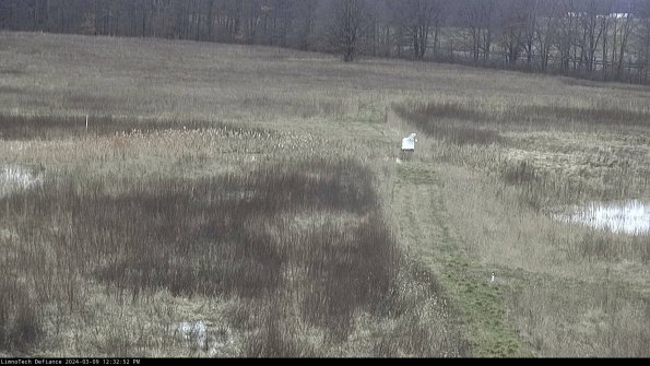 Cell 1 to 2_24-03-09_12-32-53-13