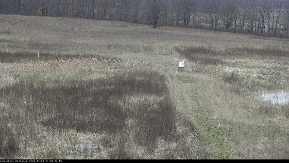 Cell 1 to 2_24-03-09_13-06-23-15