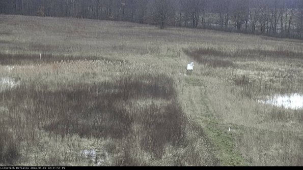 Cell 1 to 2_24-03-09_14-31-58-16