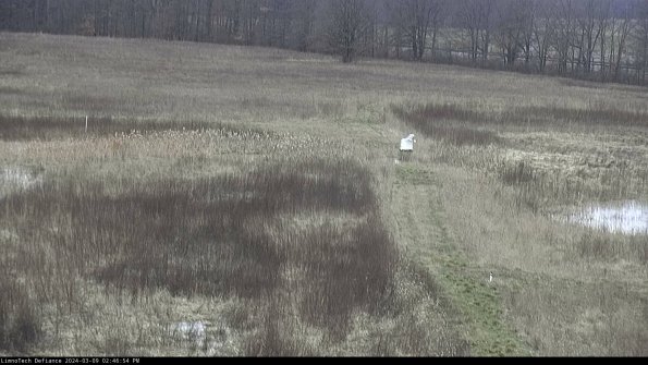 Cell 1 to 2_24-03-09_14-46-55-13