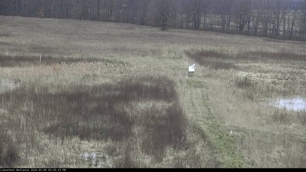 Cell 1 to 2_24-03-09_15-20-24-14