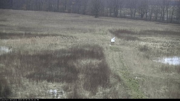 Cell 1 to 2_24-03-09_17-34-23-14