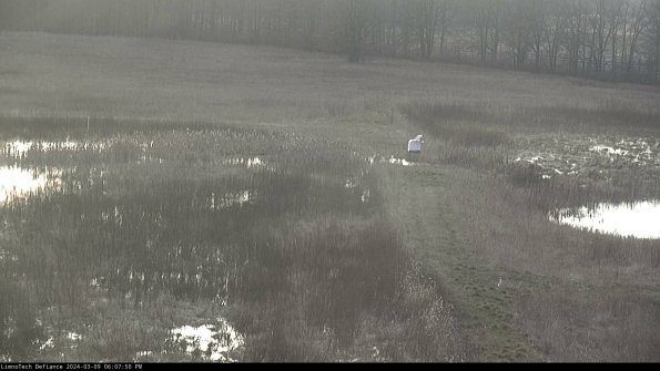 Cell 1 to 2_24-03-09_18-07-51-15