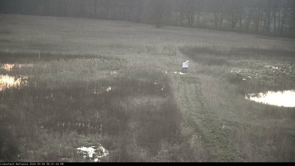 Cell 1 to 2_24-03-09_18-41-21-13