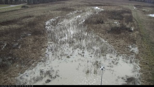 Cell 1_24-03-09_08-04-43-13