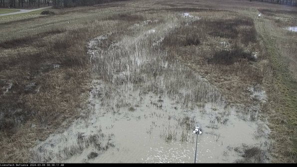 Cell 1_24-03-09_08-38-12-14