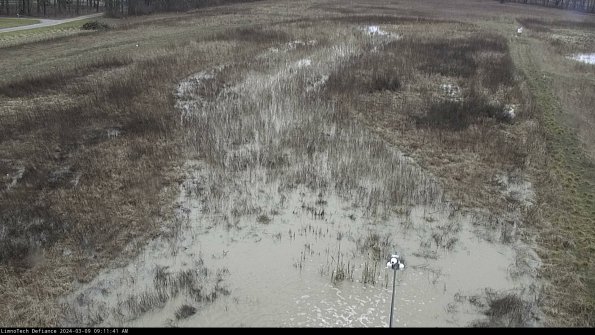 Cell 1_24-03-09_09-11-42-12