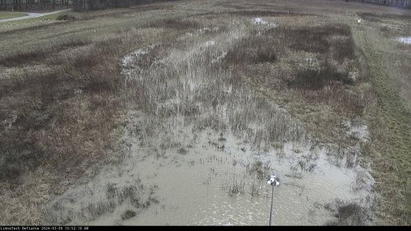 Cell 1_24-03-09_10-52-11-14