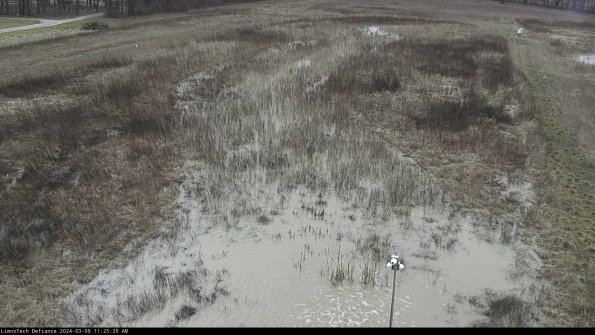 Cell 1_24-03-09_11-25-40-12