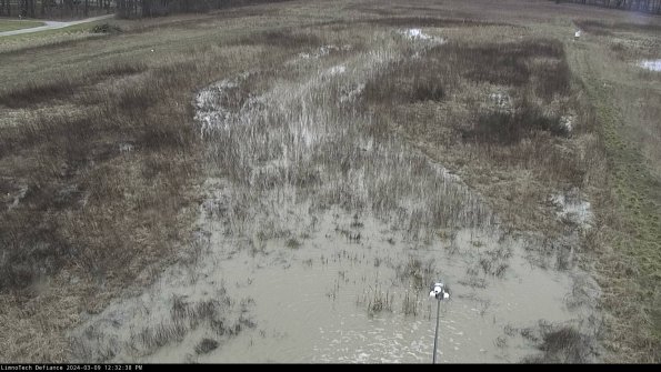 Cell 1_24-03-09_12-32-39-15