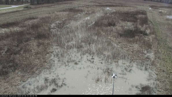 Cell 1_24-03-09_13-06-09-13