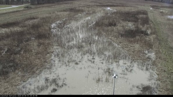 Cell 1_24-03-09_13-39-39-15