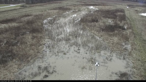 Cell 1_24-03-09_14-33-13-14