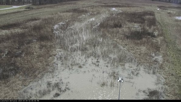 Cell 1_24-03-09_14-46-41-15