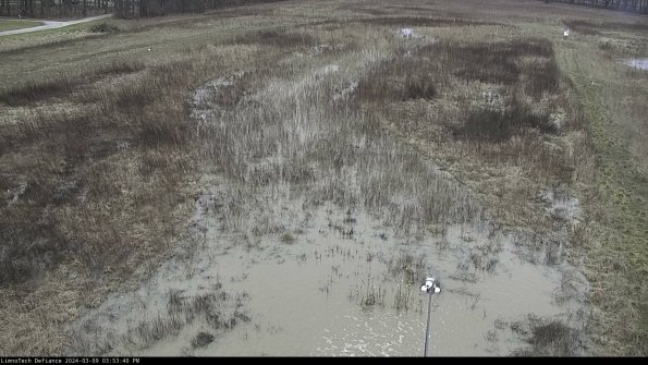 Cell 1_24-03-09_15-53-41-15