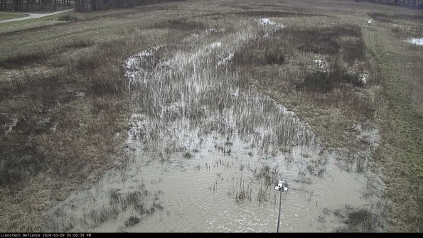 Cell 1_24-03-09_17-00-40-14