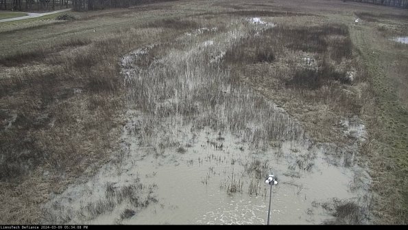 Cell 1_24-03-09_17-34-09-16