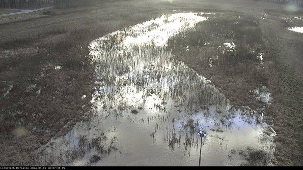 Cell 1_24-03-09_18-07-37-13