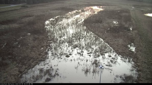 Cell 1_24-03-09_18-41-07-15