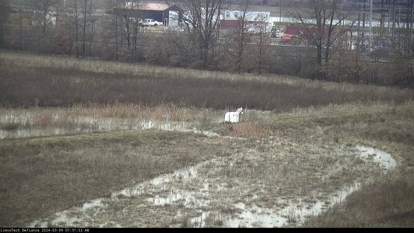 Cell 2 to 3_24-03-09_07-31-53-29