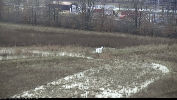 Cell 2 to 3_24-03-09_08-05-23-27