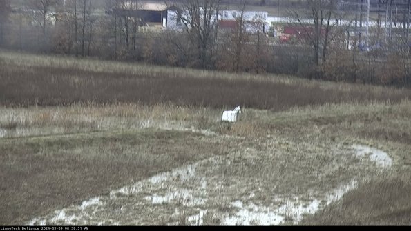 Cell 2 to 3_24-03-09_08-38-52-35