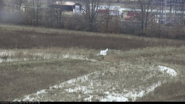 Cell 2 to 3_24-03-09_09-45-52-21