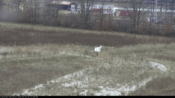 Cell 2 to 3_24-03-09_14-13-49-30