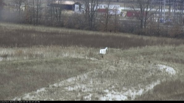 Cell 2 to 3_24-03-09_14-47-21-29