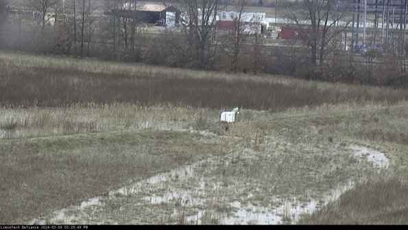 Cell 2 to 3_24-03-09_15-20-50-33