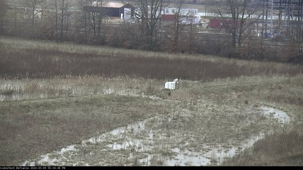 Cell 2 to 3_24-03-09_17-34-49-20