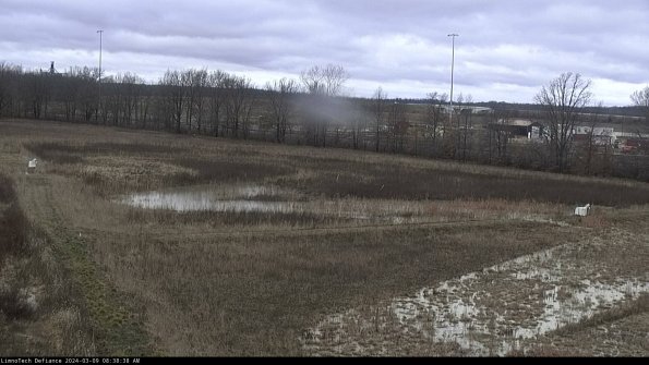 Cell 2_24-03-09_08-38-39-17