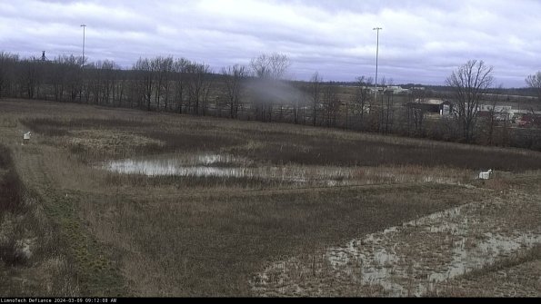 Cell 2_24-03-09_09-12-09-15