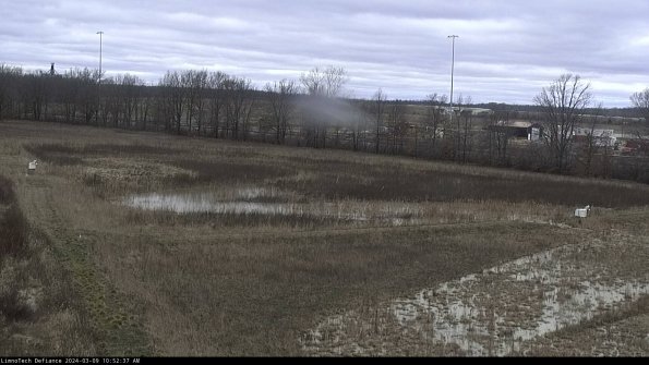 Cell 2_24-03-09_10-52-38-16