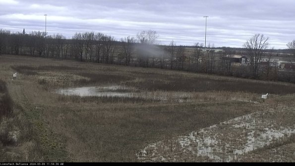 Cell 2_24-03-09_11-59-37-19