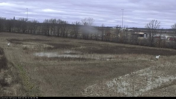 Cell 2_24-03-09_13-06-36-19