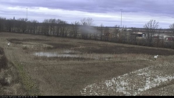 Cell 2_24-03-09_13-40-06-17