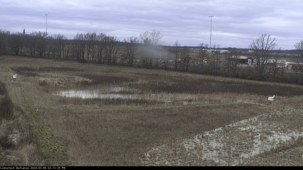 Cell 2_24-03-09_14-13-36-22