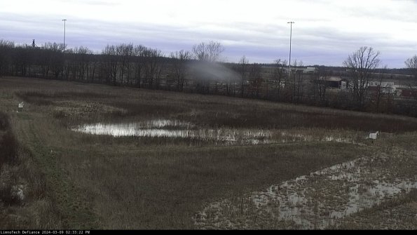 Cell 2_24-03-09_14-33-23-15