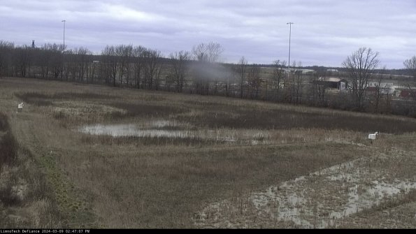 Cell 2_24-03-09_14-47-08-21